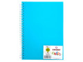 Блокнот для графики  Canson "Notes" 14,8х21см. (А-5)  50 л 120 гр, на спирали