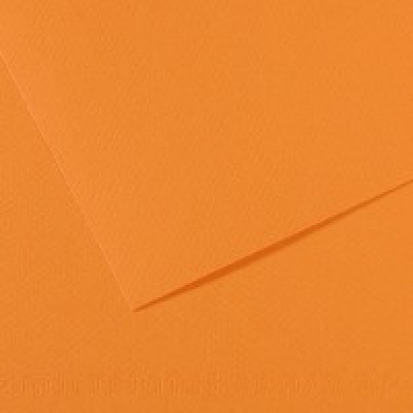 Бумага для пастели Mi-Teintes 160г/м.кв 50*65см №384, Лососевый Бумага для пастели Mi-Teintes 160г/м.кв 50*65см №384, Лососевый