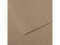 Бумага для пастели Mi-Teintes 160г/м.кв 50*65см №431, Серый с разводами Бумага для пастели Mi-Teintes 160г/м.кв 50*65см №431, Серый с разводами