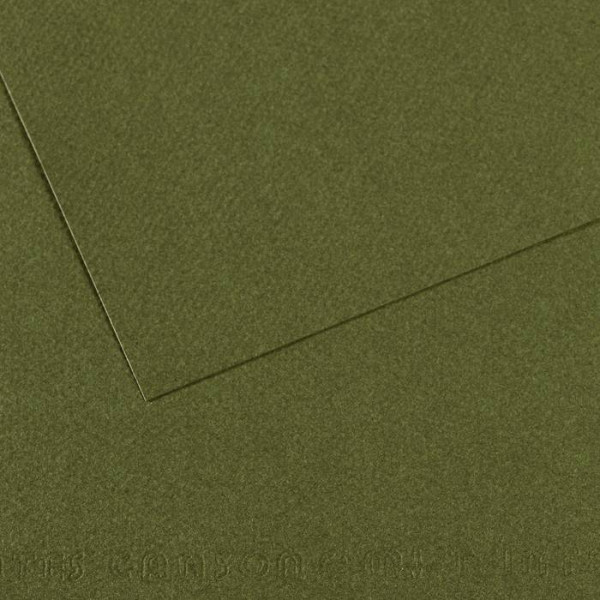 Бумага для пастели Mi-Teintes 160г/м.кв 50*65см №448, зелёный плющ. Бумага для пастели Mi-Teintes 160г/м.кв 50*65см №448, зелёный плющ.