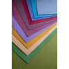 Бумага для пастели Canson "MI-TEINTES" 160г/м.  21x30см. A4 (13)