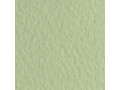 Бумага для пастели Tiziano 160г/м2  50*65см. Светло-зеленый  №11