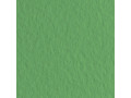 Бумага для пастели Tiziano 160г/м2 50*65см. Травяной №12 Бумага для пастели Tiziano 160г/м2 50*65см. Травяной №12