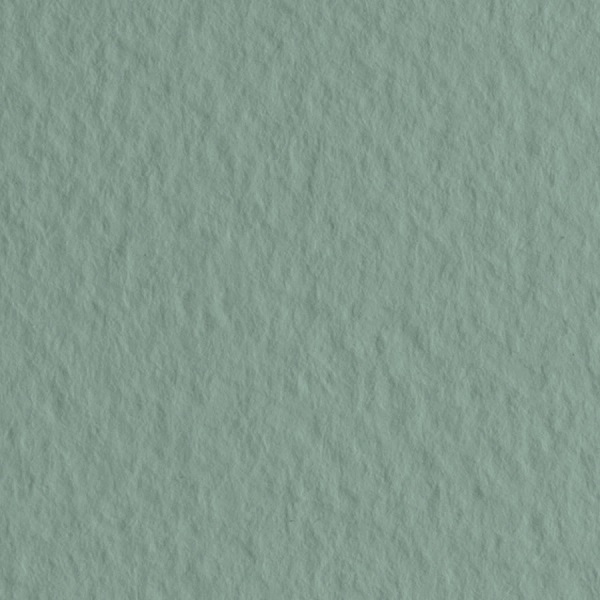 Бумага для пастели Tiziano 160г/м2 50*65см. Шалфей №13 Бумага для пастели Tiziano 160г/м2 50*65см. Шалфей №13