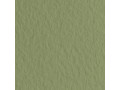 Бумага для пастели Tiziano 160г/м2  50*65см. Оливковый  №14
