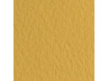 Бумага для пастели Tiziano 160г/м2  50*65см. Оранжевый/Arancio №21