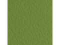 Бумага для пастели Tiziano 160г/м2 50*65см. Фисташковый №43 Бумага для пастели Tiziano 160г/м2 50*65см. Фисташковый №43