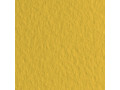 Бумага для пастели Tiziano 160г/м2  50*65см. Золотистый  №44