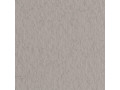 Бумага для пастели Tiziano 160г/м2  70*100см. Китайский серый №28