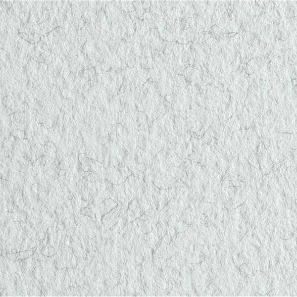 Бумага для пастели Tiziano 160г/м2 50*65см. Цвет инея / Brina №32 Бумага для пастели Tiziano 160г/м2 50*65см. Цвет инея / Brina №32